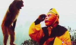 丽江猴哥爆料视频播放,揭秘古城背后的神秘故事