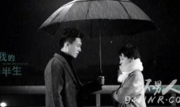 电视剧我地前半生在线观看,人生转折点的情感纠葛